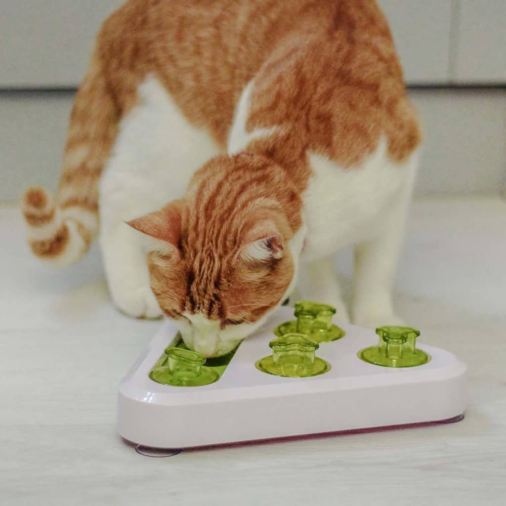 Ferplast Activity Cat/Dog Toy Trea