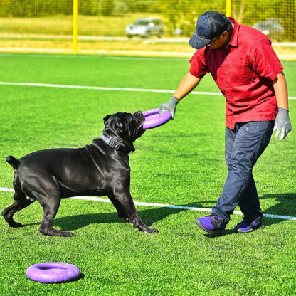 Ferplast Dog Fitness Tool Puller Maxi Purple