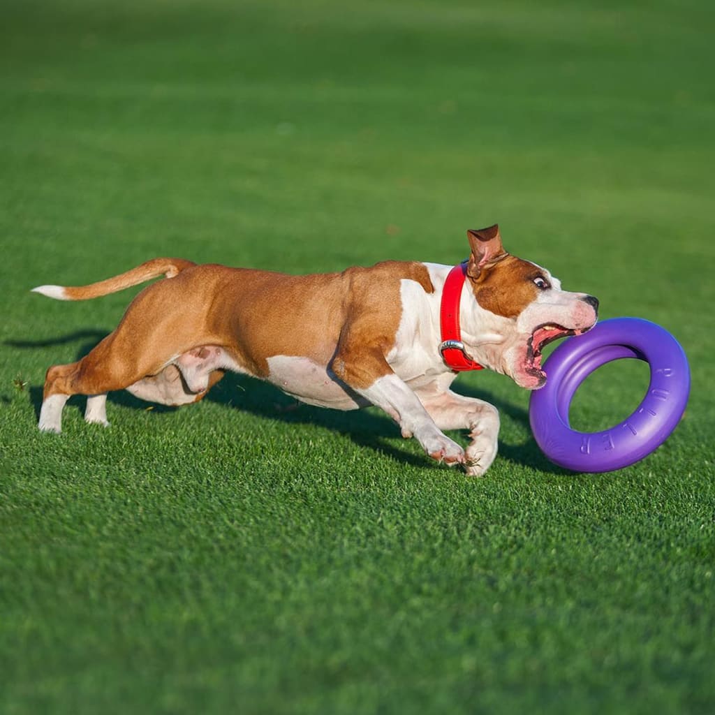 Ferplast Dog Fitness Tool Puller Maxi Purple