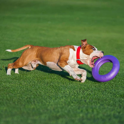 Ferplast Dog Fitness Tool Puller Maxi Purple