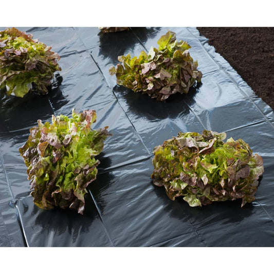 Nature Cover Foil 3x4 m 100�_�_ǵ Black