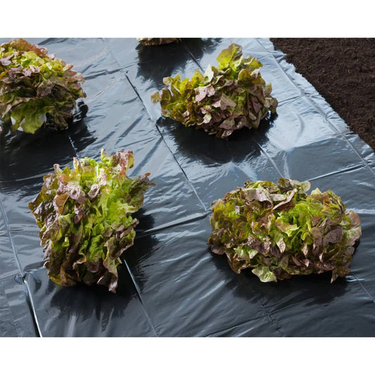 Nature Cover Foil 4x6 m 100�_ǵ Black
