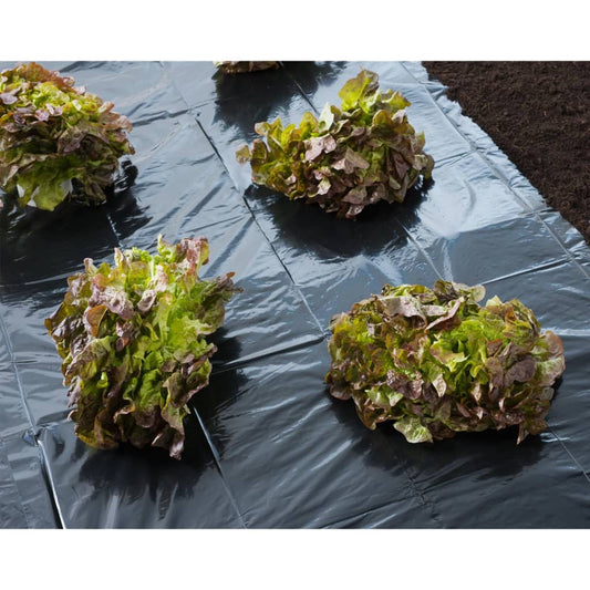 Nature Cover Foil 4x6 m 150�_ǵ Black