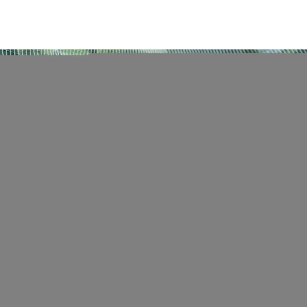 Nature Anti-insect Net against Codling Moth 6030450