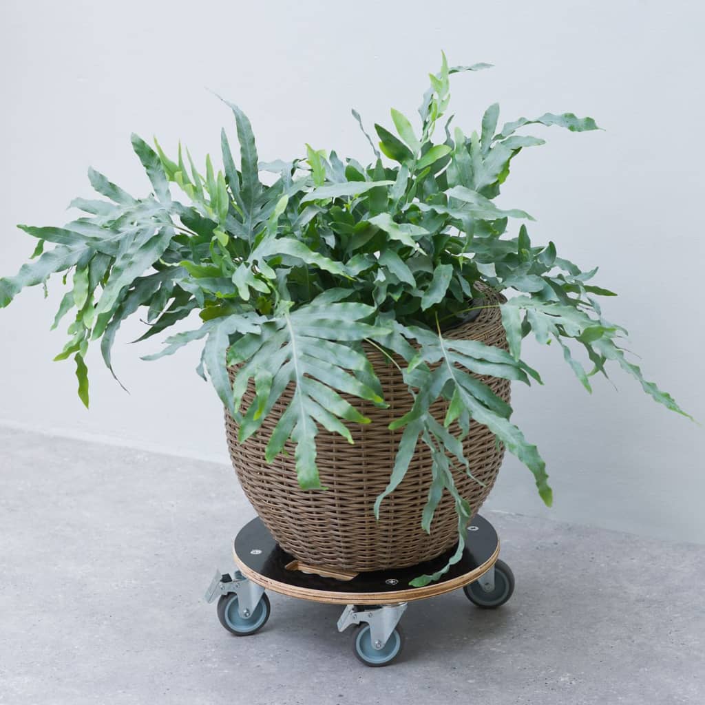Nature Plant Trolley Round �â�_38cm Black Wood