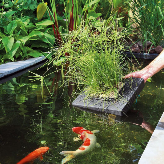 Velda Floating Pond Plant Island Square 35x35x7 cm