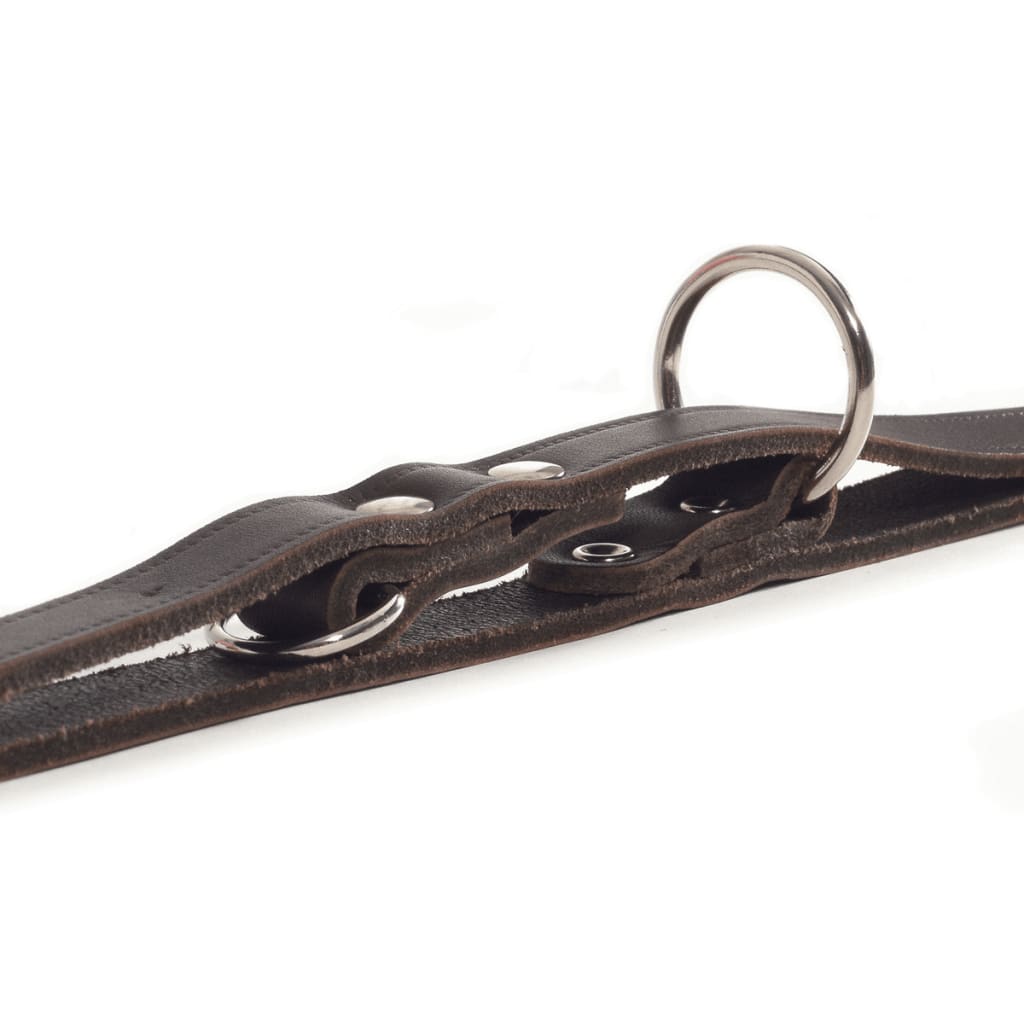 Beeztees Training Leash Leather Brown 200x1.8 cm 736402