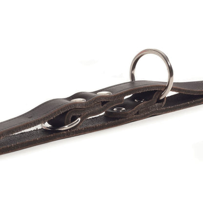 Beeztees Training Leash Leather Brown 200x1.8 cm 736402