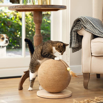 Designed by Lotte Cat Scratch Globe Balty Wooden XL
