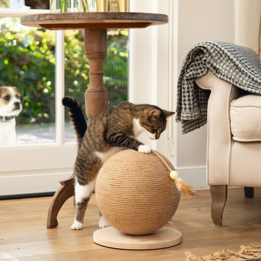 Designed by Lotte Cat Scratch Globe Balty Wooden XL