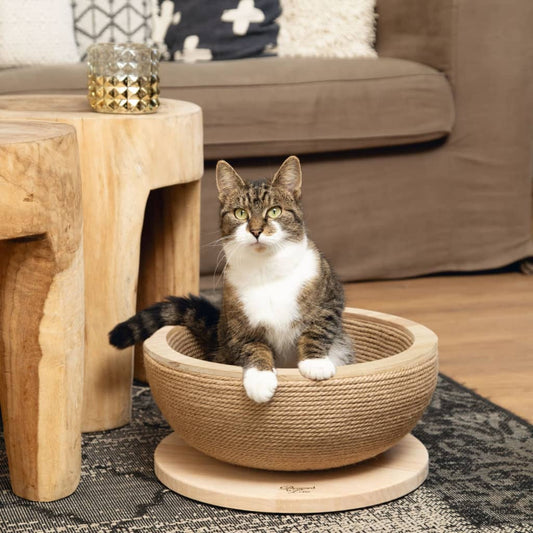 Designed by Lotte Cat Scratch Basket Zaina 36x16 cm