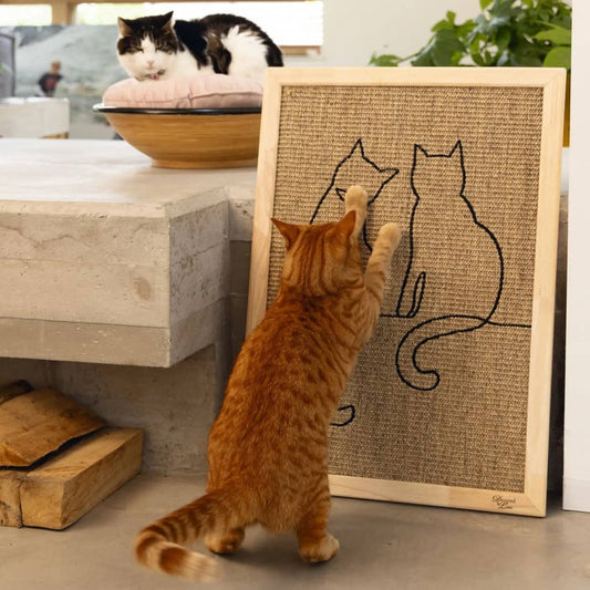 Designed by Lotte Cat Scratching Board Poezels 70x50x2 cm Wood