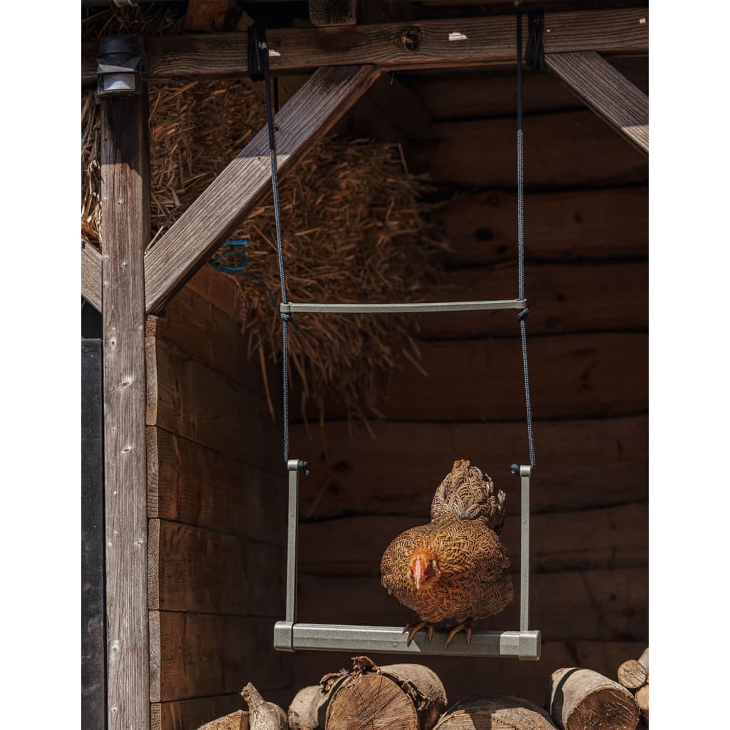 Beeztees Chicken Swing 40x5x30 cm Grey