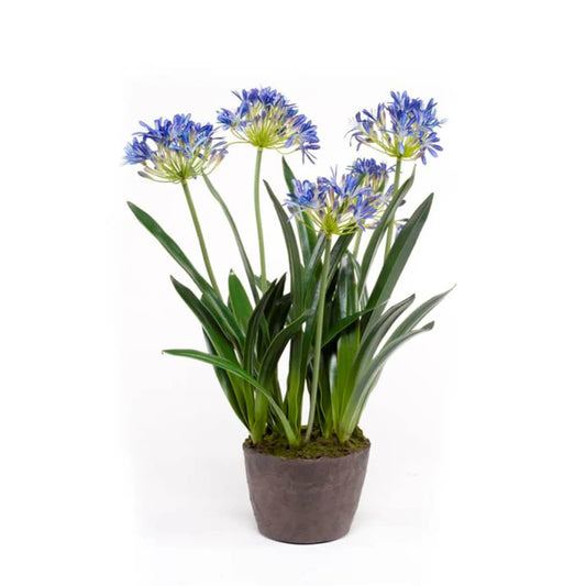 Emerald Artificial Agapanthus 75 cm Blue
