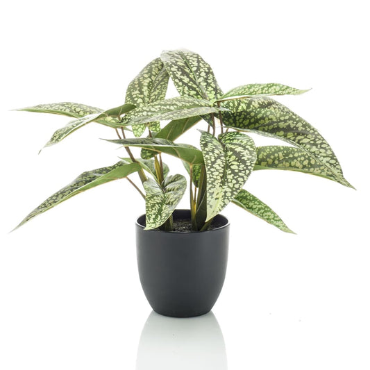 Emerald Artificial Calathea Dots 38 cm in Pot