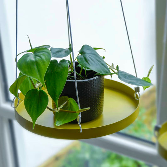 Esschert Design Hanging Plant Tray Round Gold L