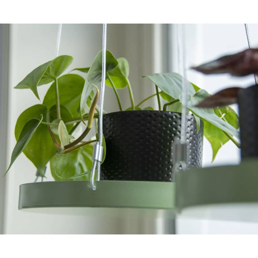 Esschert Design Hanging Plant Tray Round Green L