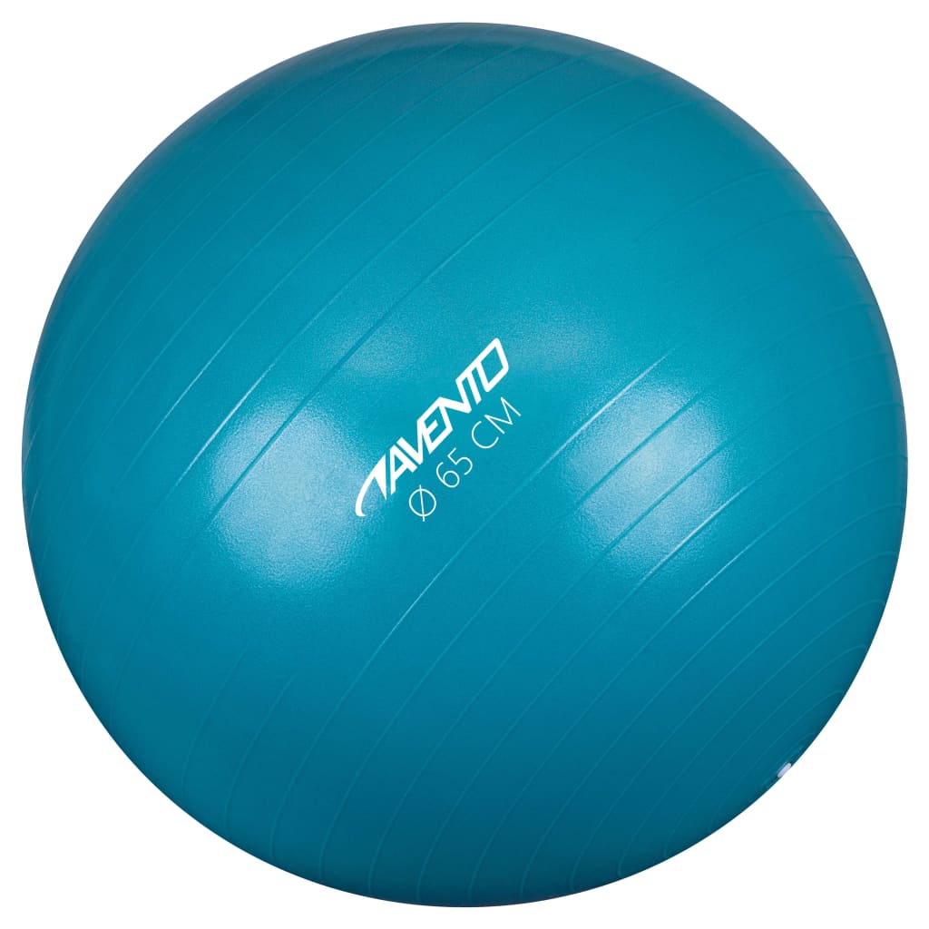 Avento Fitness/Gym Ball Dia. 65 cm Blue