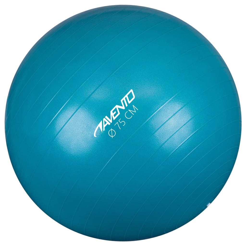 Avento Fitness/Gym Ball Dia. 75 cm Blue