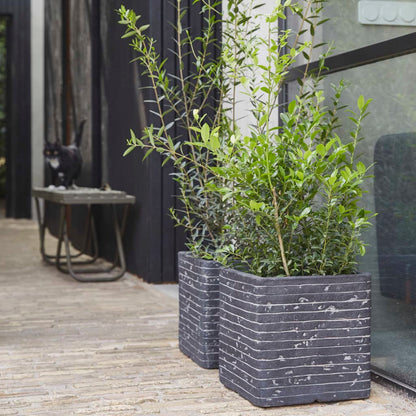 Capi Planter Nature Row Square 30x30 cm Anthracite KRWZ902