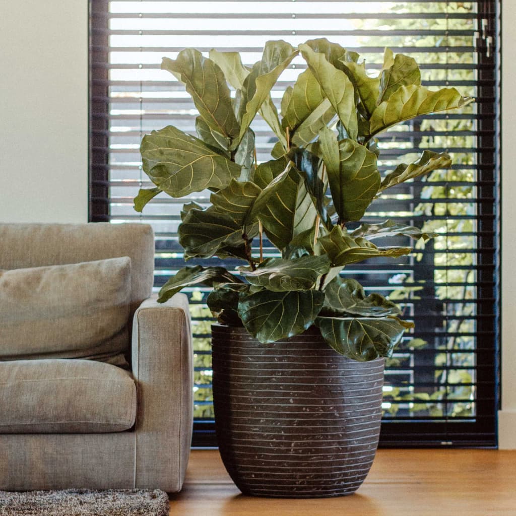 Cap Eggi Planter "Nature Row" 54x52 cm Olive Green