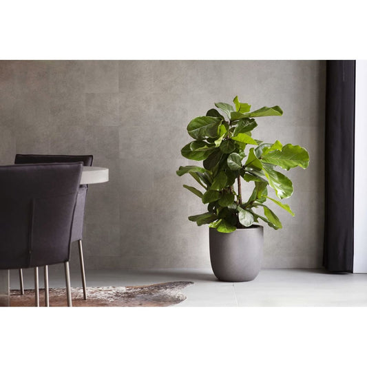 Capi Egg Planter "Urban Smooth" 43x41 cm Dark Grey