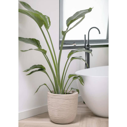 Capi Egg Planter Waste Rib 43x41 cm Terrazzo Beige