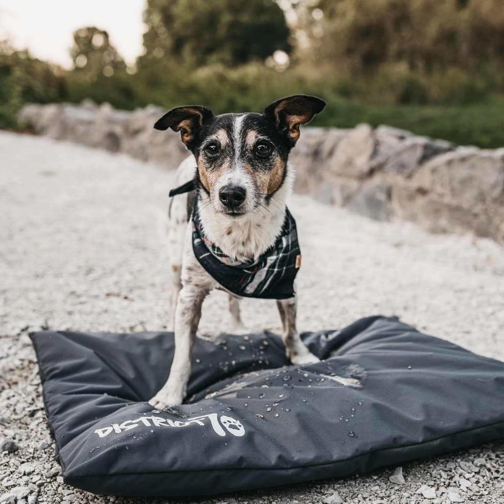DISTRICT70 Crate Mat LODGE Dark Grey XXL