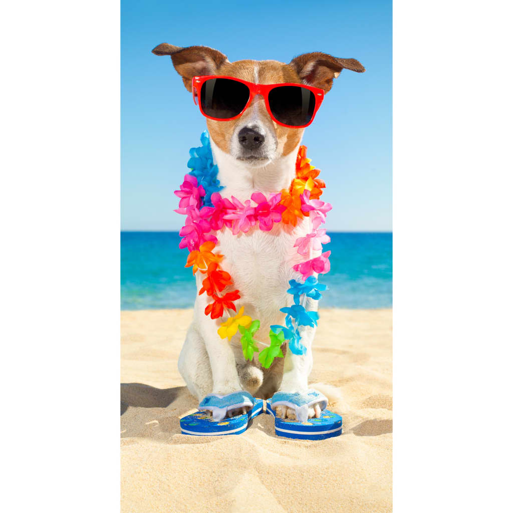 Good Morning Beach Towel BUDDY 75x150cm Multicolour