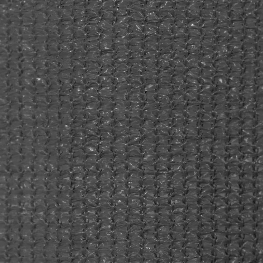 Berkfield Outdoor Roller Blind 100x230 cm Anthracite
