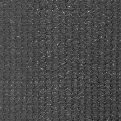 Berkfield Outdoor Roller Blind 100x230 cm Anthracite