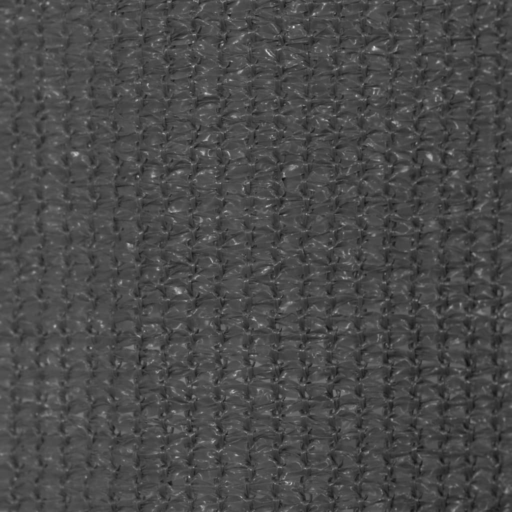 Berkfield Outdoor Roller Blind 200x230 cm Anthracite