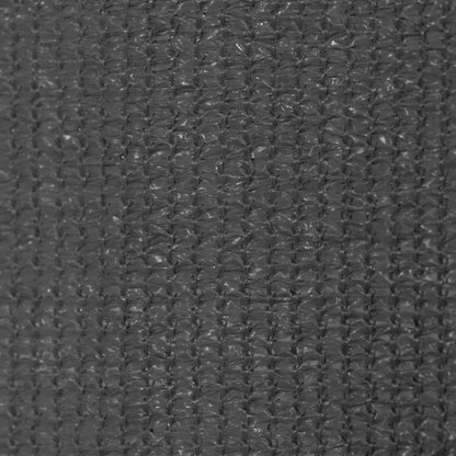 Berkfield Outdoor Roller Blind 200x230 cm Anthracite