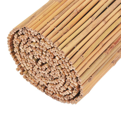 Berkfield Bamboo Fence 500x30 cm