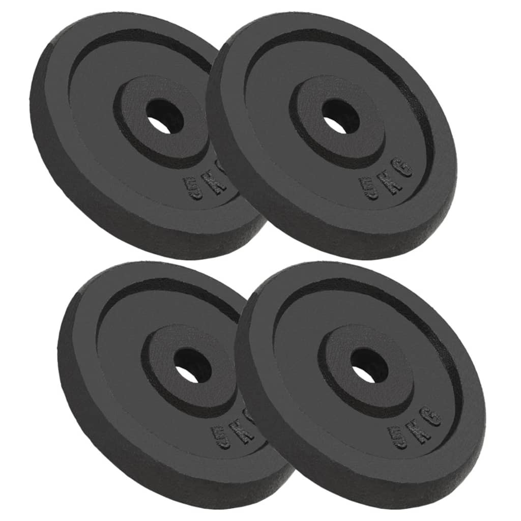 Berkfield Weight Plates 4 pcs 4x5 kg Cast Iron
