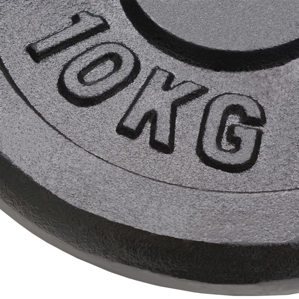 Berkfield Weight Plates 2 pcs 2x10 kg Cast Iron