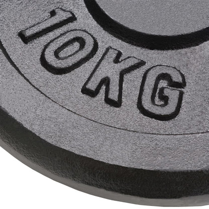 Berkfield Weight Plates 2 pcs 2x10 kg Cast Iron