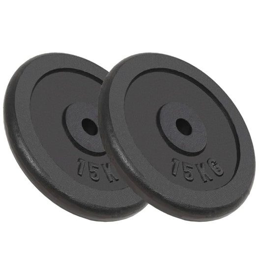 Berkfield Weight Plates 2 pcs 2x15 kg Cast Iron