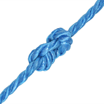 Berkfield Twisted Rope Polypropylene 16 mm 100 m Blue