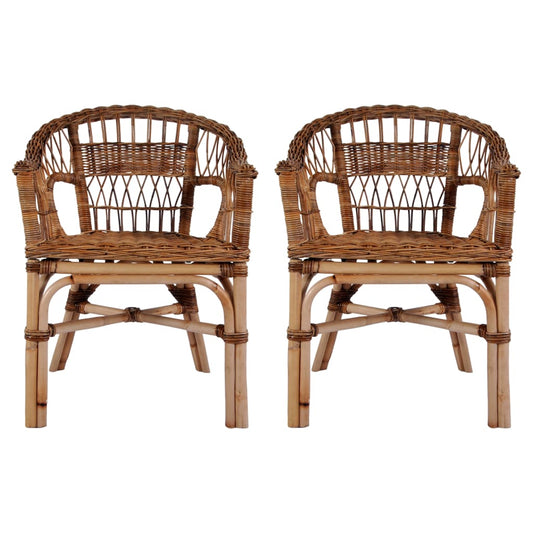 Berkfield Outdoor Chairs 2 pcs Natural Rattan Brown
