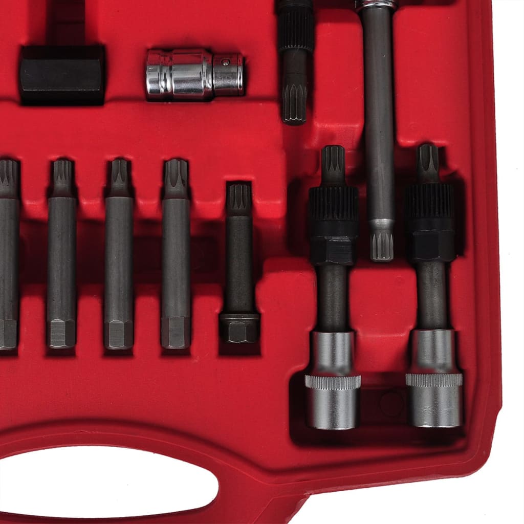 Berkfield 22 pcs Alternator Freewheel Removal Set