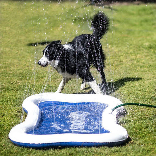 Quapas! Pet Sprinkle Mat 140x90 cm Blue and White