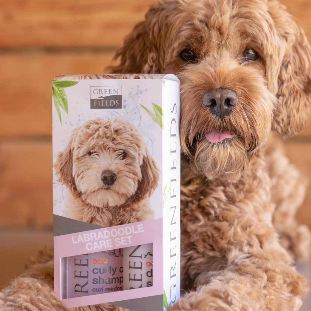 Greenfields Labradoodle Dog Shampoo and Spray Set 2x250 ml