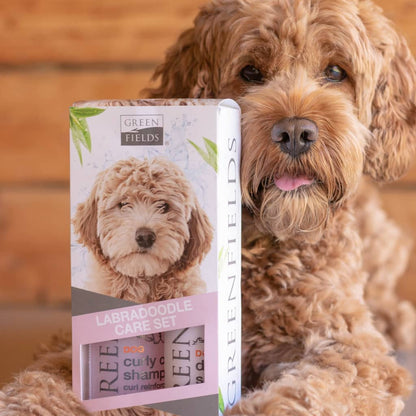 Greenfields Labradoodle Dog Shampoo and Spray Set 2x250 ml