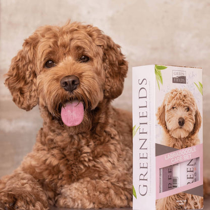 Greenfields Labradoodle Dog Shampoo and Spray Set 2x250 ml
