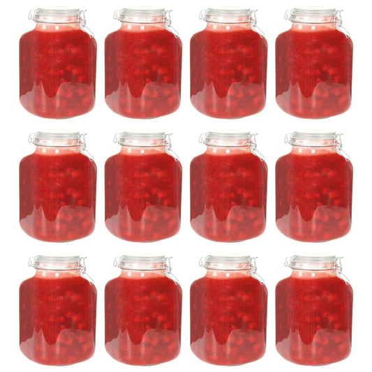 Berkfield Glass Jam Jars with Lock 12 pcs 5 L