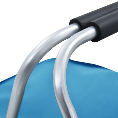 Berkfield Foldable Cool Bag Blue 46x27x23 cm Aluminium