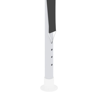 Berkfield Professional Party Tent with Side Walls 2x2 m Anthracite 90 g/m?