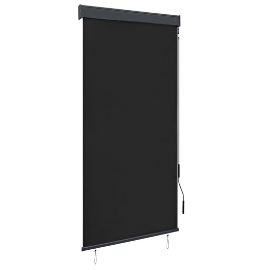 Berkfield Outdoor Roller Blind 100x250 cm Anthracite