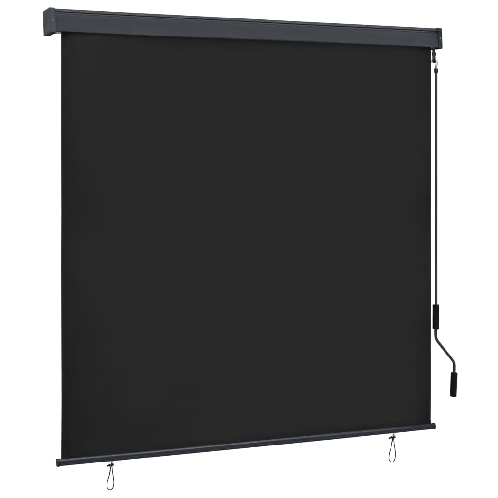 Berkfield Outdoor Roller Blind 160x250 cm Anthracite
